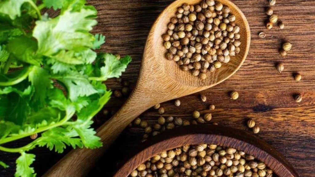 Top 5 Features of allysplay.com That Every Parent Should Know About