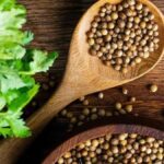 Top 5 Features of allysplay.com That Every Parent Should Know About