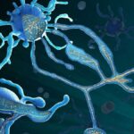 The Fascinating World of Cellulogia: How Cells Shape Our Lives