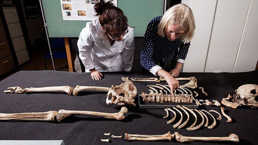 Exploring the History of Đeman: Origins and Evolution