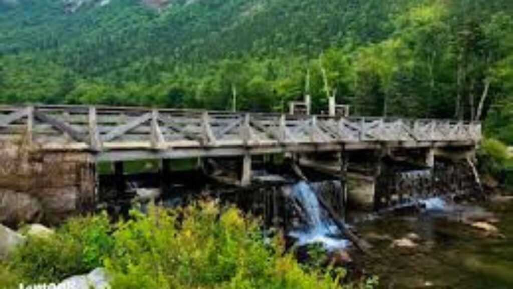 Discovering Finnorth: A Journey Through Nature’s Hidden Gem