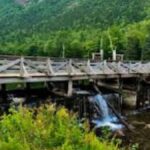 Discovering Finnorth: A Journey Through Nature’s Hidden Gem