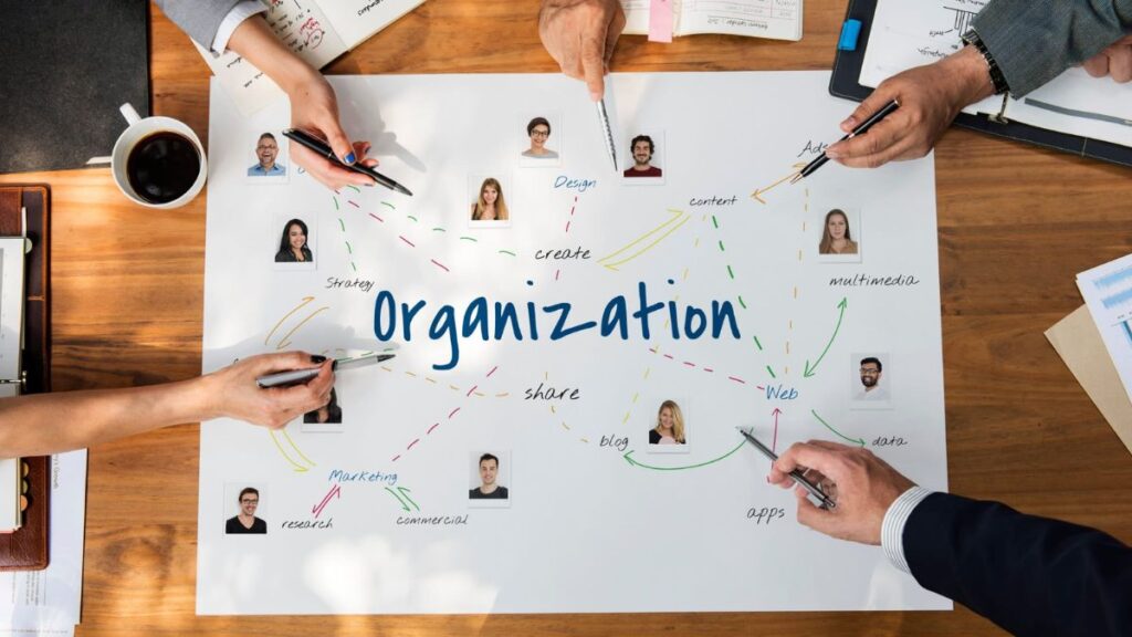 Organizations