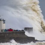 The Rise of Frehf: Why It’s Taking the Blogging World by Storm