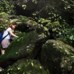 Wilddivy: A Guide to Experiencing Nature Like Never Before