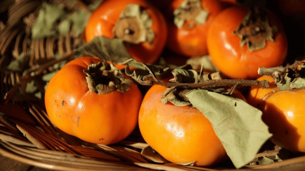 Caquis Fruit: Benefits, Nutrition, Uses, and How to Enjoy This Sweet Autumn Favorite